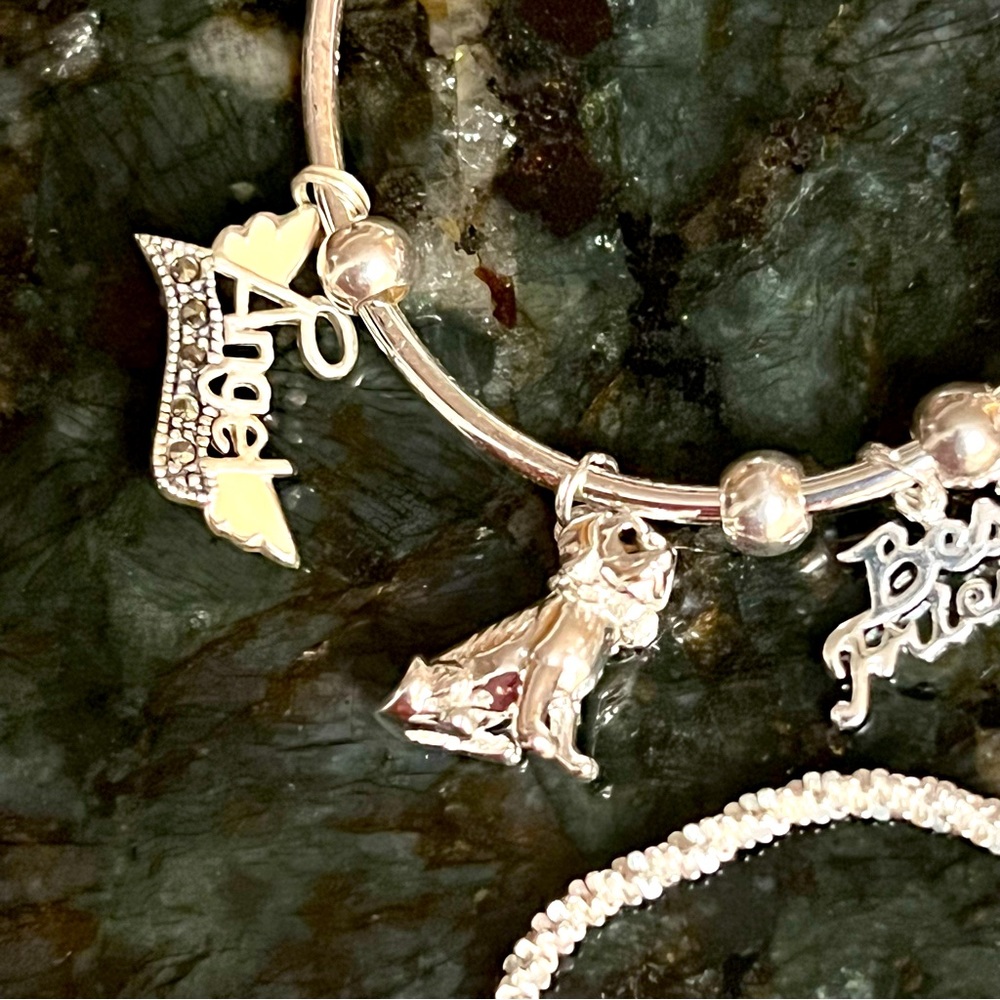 Silver charm bracelet and necklace - Picture 7 of 10